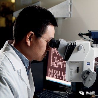 实验室使用显微装备检测喷码质量